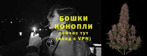 ПСИЛОЦИБИНОВЫЕ ГРИБЫ Наволоки