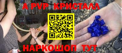 альфа пвп Кингисепп