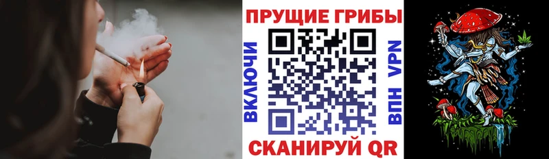 маркетплейс официальный сайт  Одинцово  Галлюциногенные грибы мухоморы 