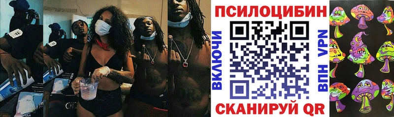 Галлюциногенные грибы Cubensis Одинцово