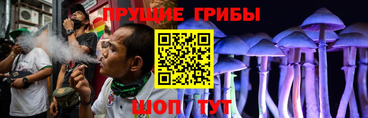 Псилоцибиновые грибы Magic Shrooms  Вход с VPN  Галлюциногенные грибы Magic Shrooms  Одинцово 