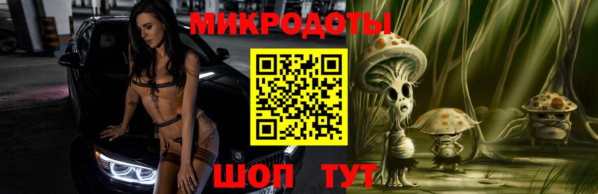 Галлюциногенные грибы Psilocybine cubensis Одинцово