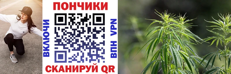 закладка  Одинцово  Каннабис SATIVA & INDICA 